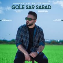 آهنگ جدید آرین صالحی به نام گل سر سبد